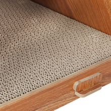 Leo Cat Scratching House